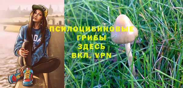 прущие крисы Балахна