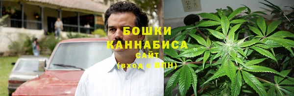прущая мука Рославль