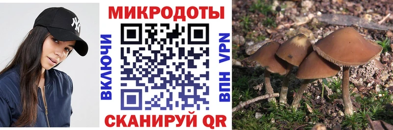 Псилоцибиновые грибы прущие грибы  Печора 