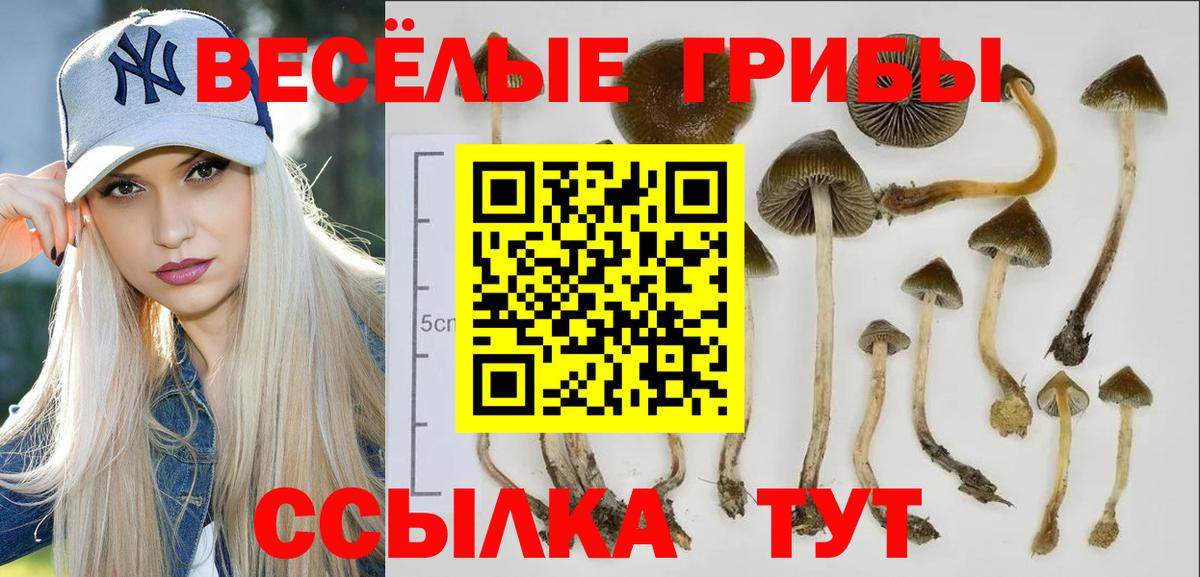 Галлюциногенные грибы Magic Shrooms Печора