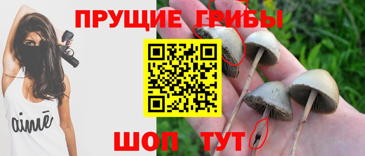 Печора  Галлюциногенные грибы мицелий  Вход с VPN  где купить наркоту  Галлюциногенные грибы Psilocybe 